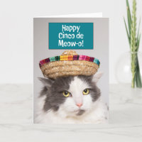 Feliz Cinco de Mayo Engraçado Cat.
