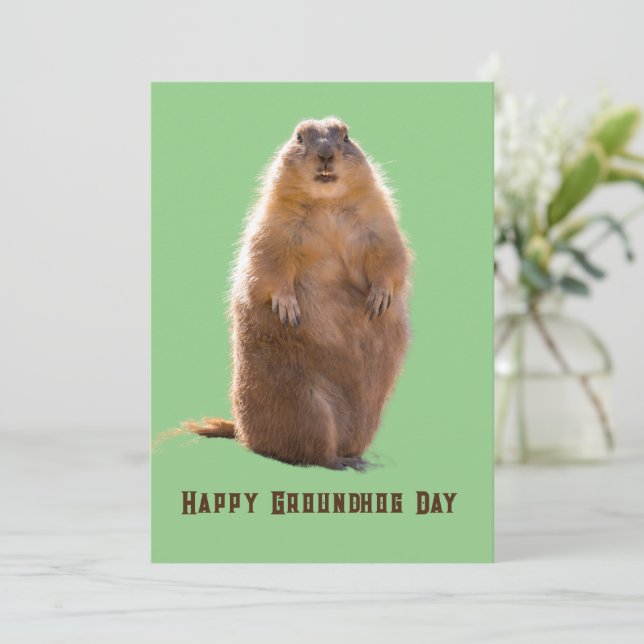 Cartão De Festividades Feliz Dia da Marmota Engraçado (Em pé/Frente)