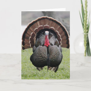 Cartão De Festividades Feliz Dia da Turquia!