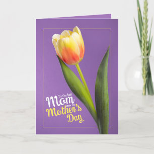 Cartão De Festividades Feliz Dia das Mães Belo Tulipa Amarela sobre Roxo