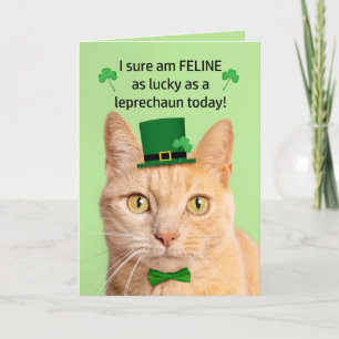 Cartão De Festividades Feliz Dia de São Patrício Amigo Gato Fofo Leprecha