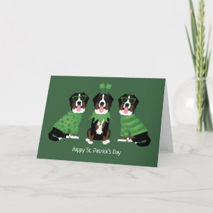 Cartão De Festividades Feliz Dia de São Patrício Bernese Mountain Dogs