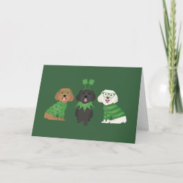 Cartão De Festividades Feliz Dia de São Patrício Cachorros Maltipoo