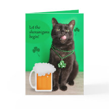 Feliz Dia de São Patrício Gato Engraçado Com Cerve
