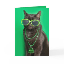 Feliz Dia de São Patrício Gato Verde Humor 