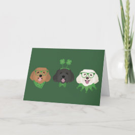 Cartão De Festividades Feliz Dia de São Patrício para os Cães Maltipoo