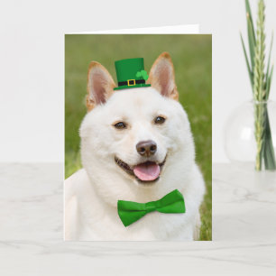 Cartão De Festividades Feliz Dia de São Patrício Qualquer Um Shiba Inu Do