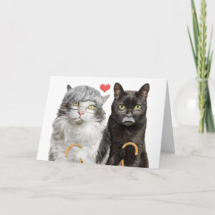 Cartão De Festividades Feliz Dia dos Avós Casal de Gatos Idosos Humor 