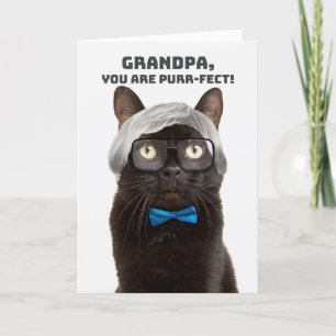 Cartão De Festividades Feliz Dia dos Avós Vovô Velho Homem Humor Gato