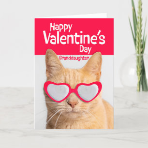 Cartão De Festividades Feliz Dia dos Namorados Avô Gato de Óculos