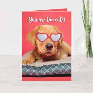 Cartão De Festividades Feliz Dia dos Namorados Cachorrinho Labrador Engra