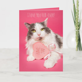 Cartão De Festividades Feliz Dia dos Namorados Eu Te Amo Pelos Pelos Gato