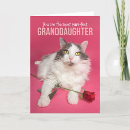Cartão De Festividades Feliz Dia dos Namorados, neta, gato bonito