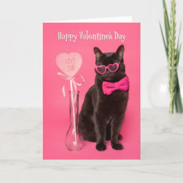 Cartão De Festividades Feliz Dia dos Namorados para qualquer gato bonitin