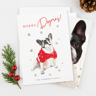 Cartão De Festividades Feliz Dogmas Cachorro Cachorro Cachorro Foto Natal
