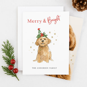 Cartão De Festividades Feliz e Brilhante Cachorro Doodle Natal