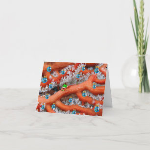 Cartão De Festividades Feliz Fishmas Goby
