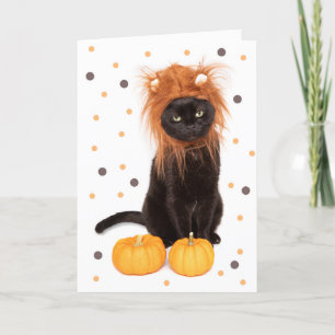 Cartão De Festividades Feliz Gato de Gatinho Negro de Halloween