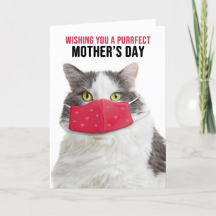 Cartão De Festividades Feliz Gato Engraçado de Dia de as mães na Másca
