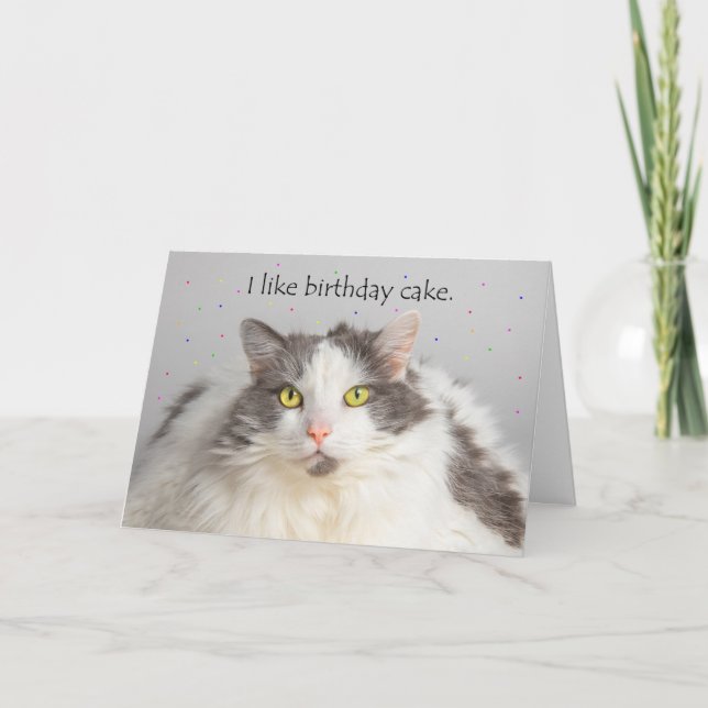 Cartão De Festividades Feliz Gato Gordo De Aniversário Gosta De Bolo De A (Frente)