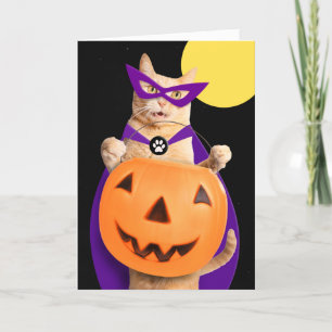 Cartão De Festividades Feliz Halloween Laranja Fofo Gato Persa Laranja 
