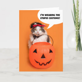 Cartão De Festividades Feliz Halloween para qualquer Gato Louco disfarçad
