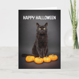 Cartão De Festividades Feliz Halloween para qualquer gato preto com abóbo