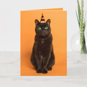 Cartão De Festividades Feliz Halloween para qualquer gato preto no Chapéu
