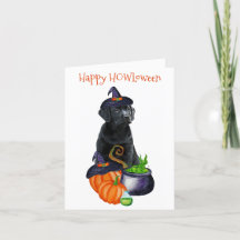 Feliz HOWLoentre preto-branco Labrador Cachorro