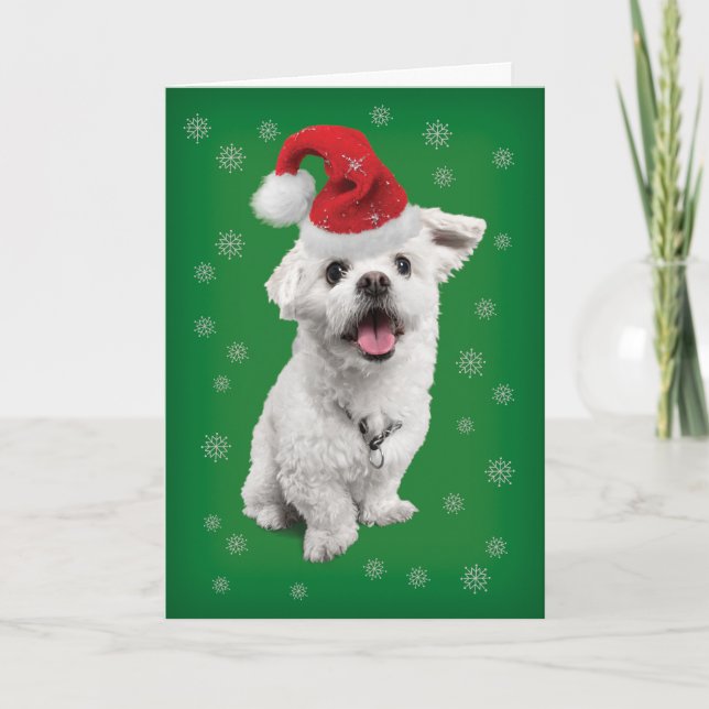 Cartão De Festividades Feliz Maltês Terrier Com Natal Para Papai Noel (Frente)