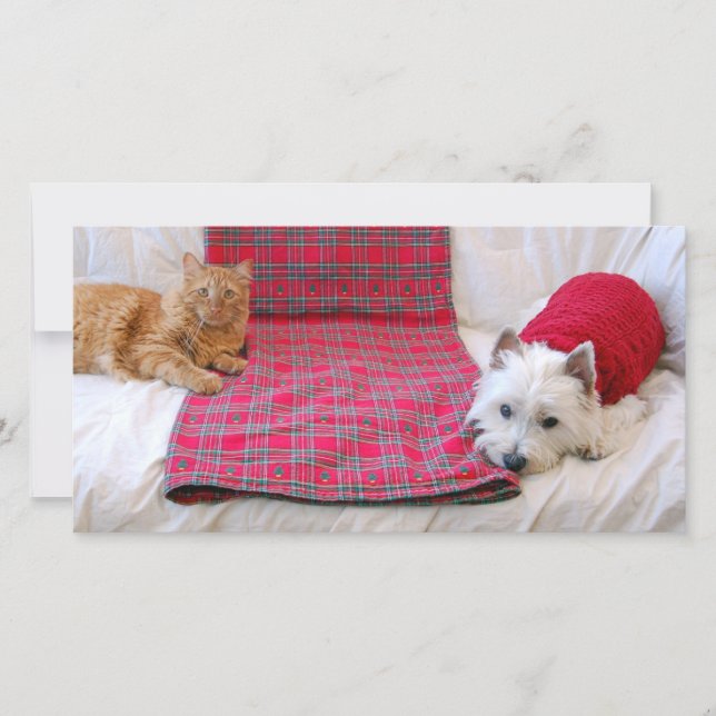 Cartão De Festividades Feliz Natal (Frente)