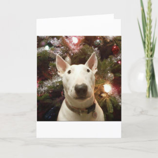 Cartão De Festividades Feliz Natal