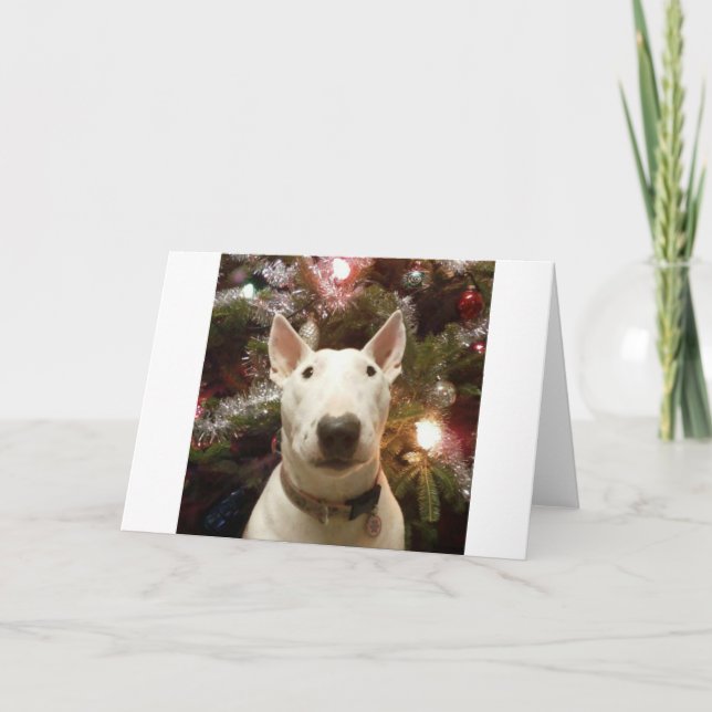 Cartão De Festividades Feliz Natal (Frente)