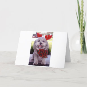 Cartão De Festividades Feliz Natal