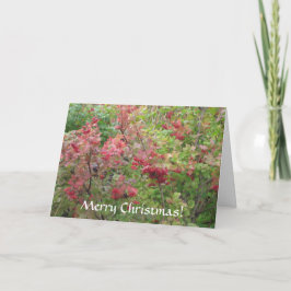 Cartão De Festividades Feliz Natal