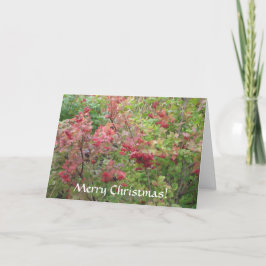Cartão De Festividades Feliz Natal