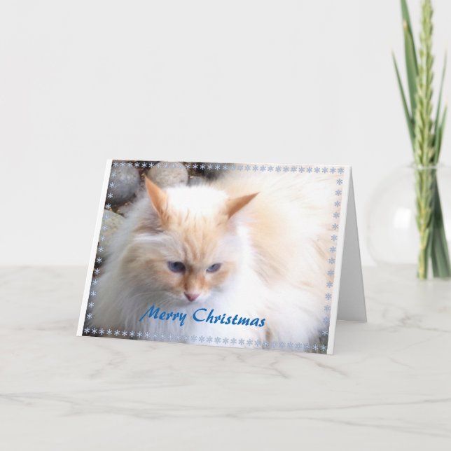 Cartão De Festividades Feliz Natal (Frente)