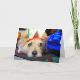 Cartão De Festividades Feliz Natal