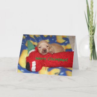 Cartão De Festividades Feliz Natal!