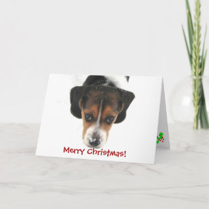 Cartão De Festividades Feliz Natal!