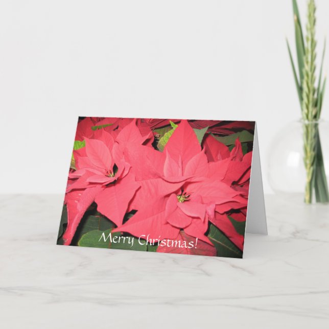 Cartão De Festividades Feliz Natal (Frente)