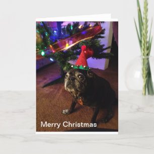 Cartão De Festividades Feliz Natal