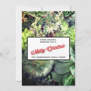 Cartão De Festividades Feliz Natal Arizona Cactus - Foto da Família