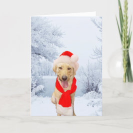 Cartão De Festividades Feliz Natal Branco para Papais noeis de laboratóri