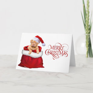 Cartão De Festividades Feliz Natal Cachorrinho