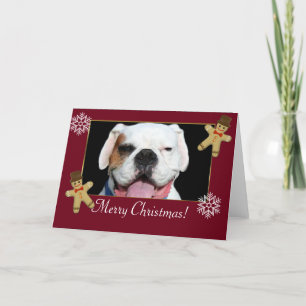 Cartão De Festividades Feliz Natal Cachorro Branco