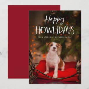 Cartão De Festividades Feliz Natal Canino   Foto de Natal de Cachorro Fof