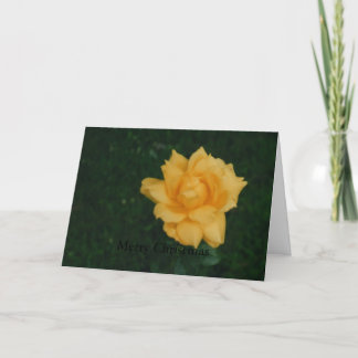 Cartão De Festividades Feliz Natal(Cartão)