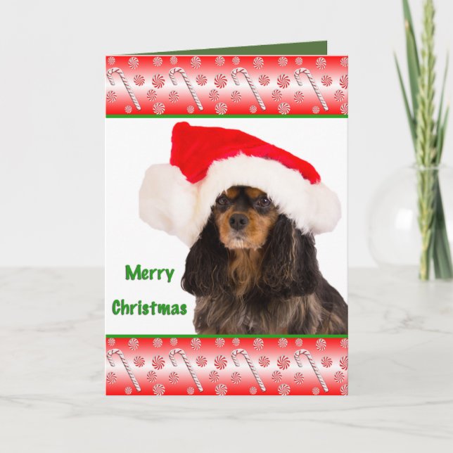 Cartão De Festividades Feliz Natal Cavalier King Charles Card (Frente)