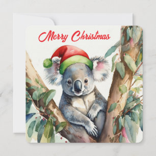 Cartão De Festividades Feliz Natal Coala sentado na Gumtree